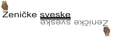 Zeničke sveske